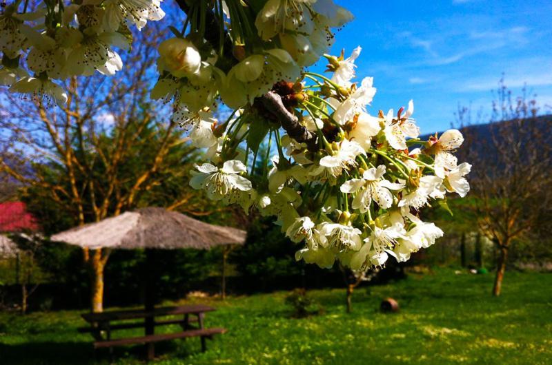 Arte Y Natura Valdivielso Hotell Quintana de Valdivielso Eksteriør bilde